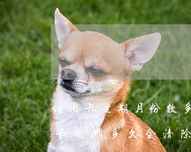 信用卡逾期月份数多久消失(2017年信用卡逾期多久会清除)