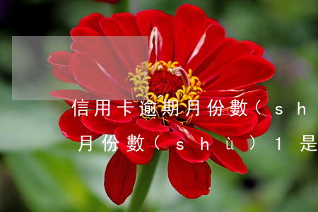信用卡逾期月份數(shù)-信用卡逾期月份數(shù)1是什么意思