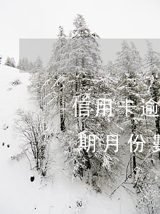 信用卡逾期月份數(shù)17 信用卡逾期月份數(shù)是逾期次數(shù)嗎