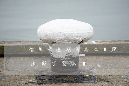 信用卡逾期月怎么處理-所有的貸款信用卡逾期了怎么辦