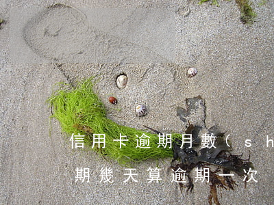 信用卡逾期月數(shù)是多少(信用卡逾期幾天算逾期一次)