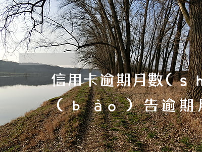 信用卡逾期月數(shù)是指什么(信用報(bào)告逾期月份數(shù)指什么)