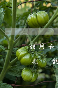 信用卡逾期月月還款可以起訴嗎(有信用卡逾期還能貸款嗎)