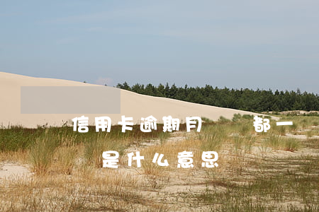 信用卡逾期月賬單都一樣什么意思-逾期賬單是什么意思