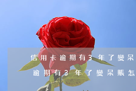 信用卡逾期有3年了變呆賬怎么辦-信用卡逾期有3年了變呆賬怎么辦呢