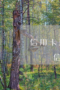 信用卡逾期有一封掛號信(逾期會發(fā)掛號信嗎)