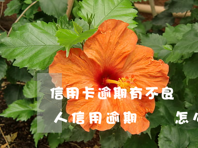 信用卡逾期有不良記錄怎么清除(個(gè)人信用逾期記錄怎么消除)