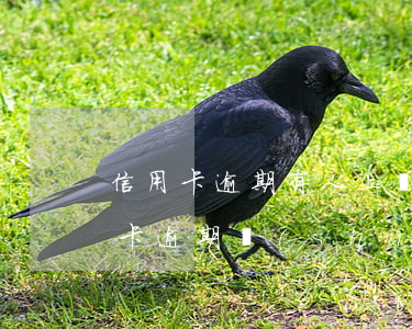 信用卡逾期有人上門(mén)叫簽字(銀行卡逾期說(shuō)要上門(mén))