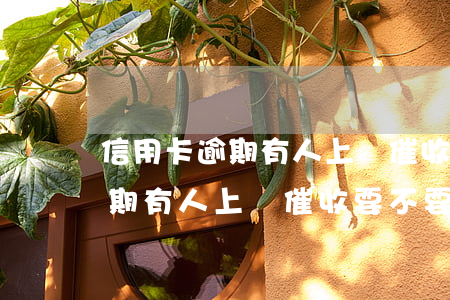 信用卡逾期有人上門催收要不要見(信用卡逾期有人上門催收要不要見)