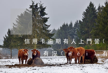 信用卡逾期有人上門營(yíng)業(yè)(有沒(méi)有信用卡逾期上門的)