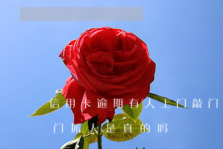 信用卡逾期有人上门敲门(信用卡逾期警察上门抓人是真的吗)
