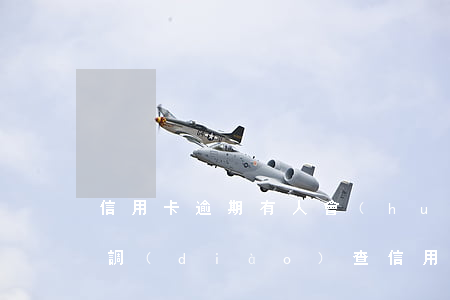 信用卡逾期有人會(huì)來(lái)調(diào)查(信用卡逾期會(huì)到工作單位調(diào)查嗎)