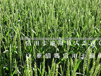 信用卡逾期有人走過(guò)債務(wù)重組嗎(信用卡逾期有人走過(guò)債務(wù)重組嗎)