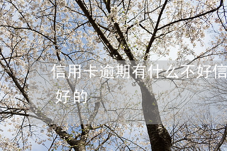 信用卡逾期有什么不好(信用卡逾期有什么不好的)