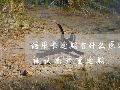信用卡逾期有什么原因(什么情况下信用卡会被认为严重逾期)