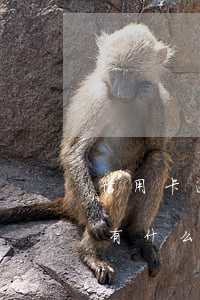 信用卡逾期有什么后果嚴重(還信用卡逾期會有什么后果)