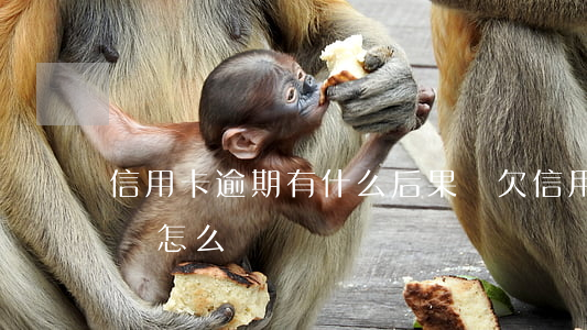 信用卡逾期有什么后果沒(欠信用卡逾期不還會怎么樣)