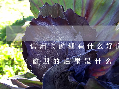 信用卡逾期有什么好理由 貸款逾期與信用卡逾期的后果是什么