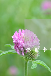 信用卡逾期有什么害處 信用卡逾期有什么害處