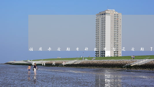 信用卡逾期有什么平台还(逾期了还能申请哪家信用卡)