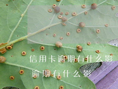 信用卡逾期有什么影響嗎會坐牢嗎-信用卡逾期有什么影響嗎會坐牢嗎知乎