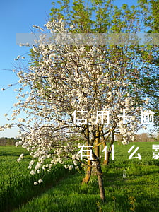 信用卡逾期有什么影響嗎知乎-信用卡逾期有什么影響嗎知乎