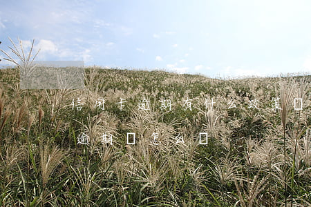 信用卡逾期有什么政策風險-如果說信用卡逾期會怎么樣