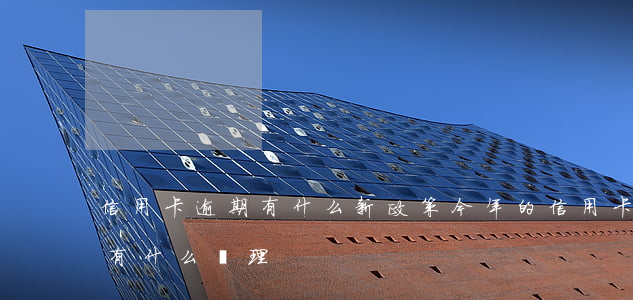 信用卡逾期有什么新政策(今年的信用卡逾期有什么處理)
