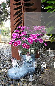 信用卡逾期有什么新政策嗎(今年的信用卡逾期有什么處理)