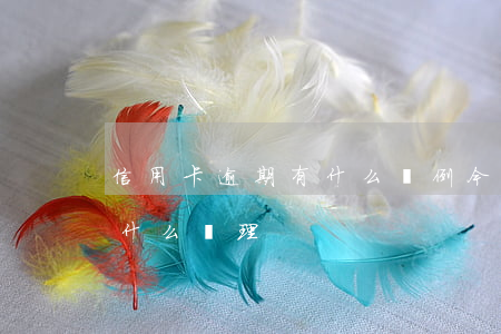 信用卡逾期有什么條例(今年的信用卡逾期有什么處理)