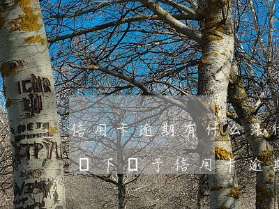 信用卡逾期有什么法律責(zé)任(什么情況下屬于信用卡逾期)