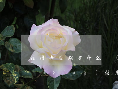 信用卡逾期有什么網(wǎng)貸可以申請(qǐng) 信用卡逾期有什么網(wǎng)貸可以申請(qǐng)免息