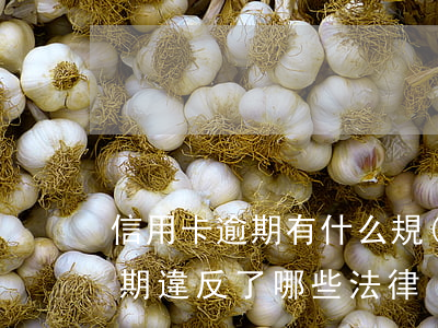 信用卡逾期有什么規(guī)則(信用卡逾期違反了哪些法律)