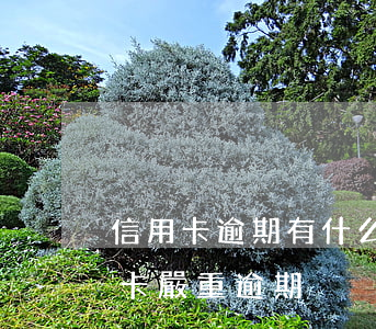 信用卡逾期有什么辦法房貸(房貸沒逾期信用卡嚴重逾期)