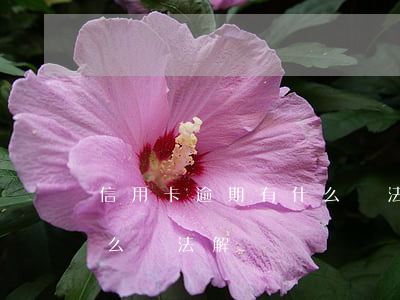 信用卡逾期有什么辦法解決(信用卡逾期有什么辦法解決)
