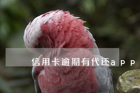 信用卡逾期有代还app