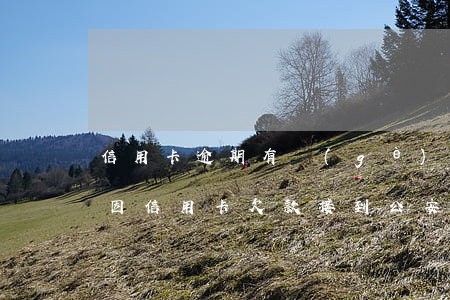 信用卡逾期有個(gè)青島公安打電話-因信用卡欠款接到公安局電話