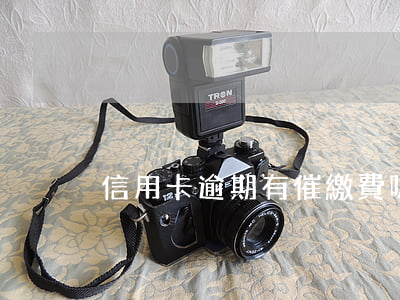 信用卡逾期有催繳費嗎(信用卡逾期怎么辦)