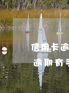 信用卡逾期有其他費(fèi)用嗎(信用卡逾期有手續(xù)費(fèi)嗎)