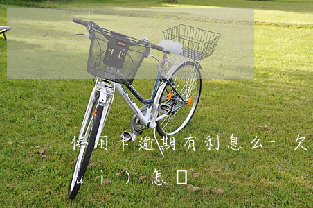 信用卡逾期有利息么-欠信用卡逾期會(huì)怎樣