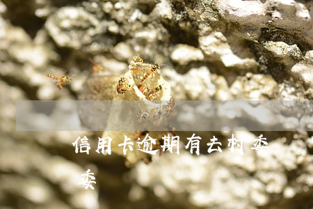 信用卡逾期有去村委會嗎（信用卡逾期有去村委會）
