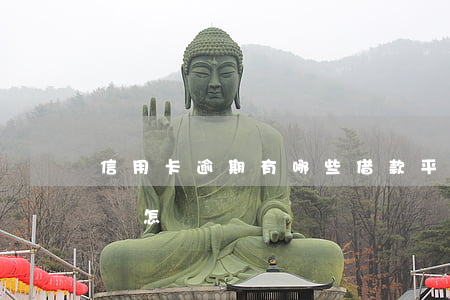 信用卡逾期有哪些借款平臺(借信用卡逾期了會怎樣)