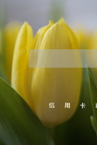 信用卡逾期有哪些后果嚴重