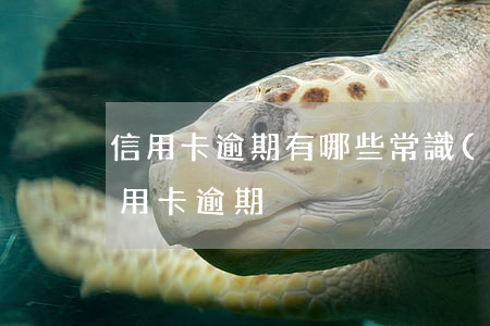 信用卡逾期有哪些常識(shí)(什么是信用卡逾期)