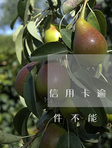 信用卡逾期有哪些條件(信用卡逾期有哪些條件不能辦)