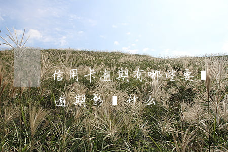 信用卡逾期有哪些要點(diǎn)(信用卡逾期影響什么)