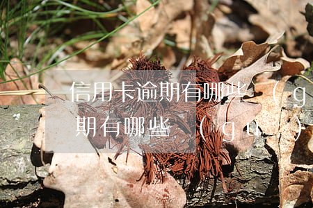 信用卡逾期有哪些規(guī)則(信用卡逾期有哪些規(guī)則和流程)