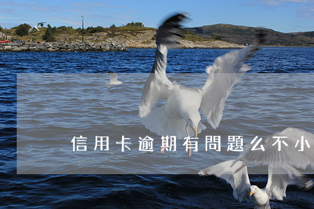 信用卡逾期有問題么(不小心信用卡逾期)