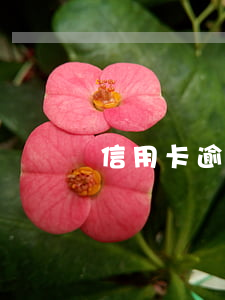 信用卡逾期有啥費用嘛（信用卡逾期有啥費用）