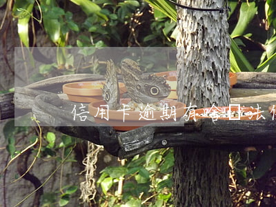 信用卡逾期有啥辦法(信用卡 記逾期方式)